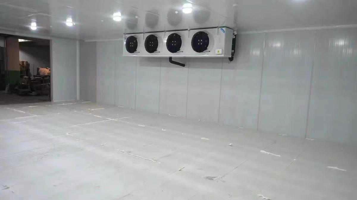upload/20241108114337.jpg